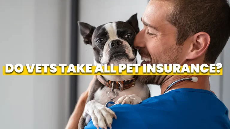 Do Vets Take all Pet Insurance