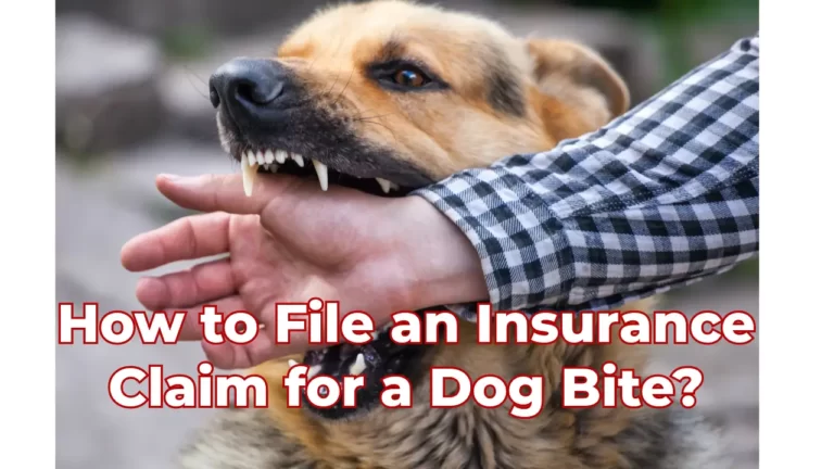 How to File an Insurance Claim for a Dog Bite